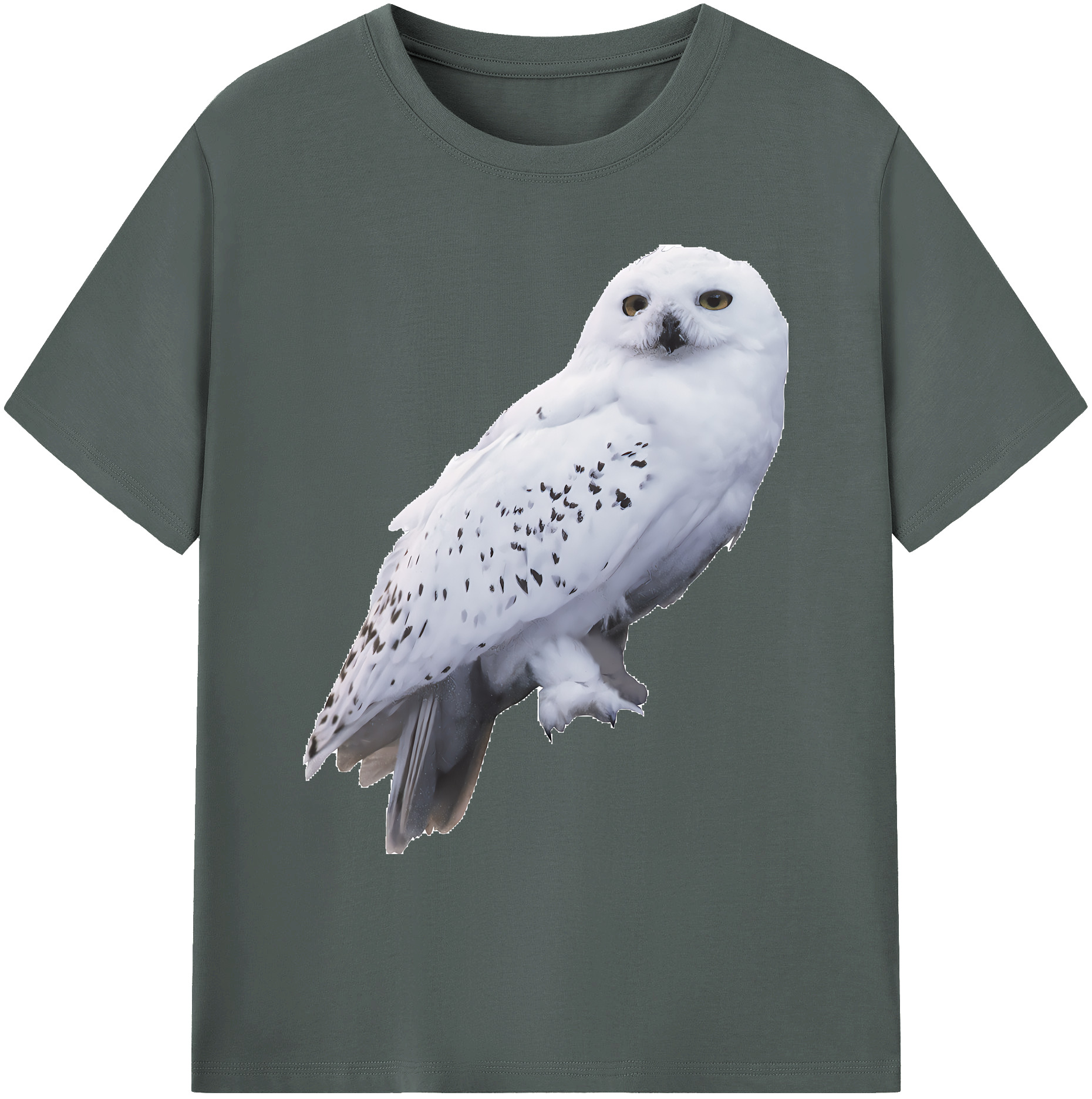 （画像用） Harry Potter ハリー・ポッターシリーズ 綿100％ メンズ半袖Tシャツ｜肌触りやわらか＆通気性
